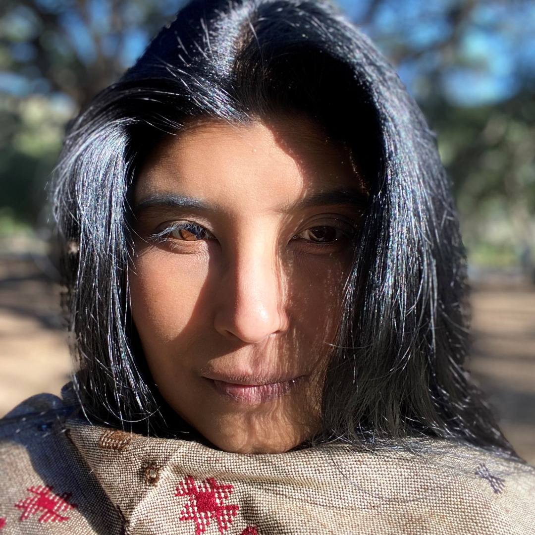 A Double-Edged Sword: The Role of Social Media in the 2024 Political Uprising in Bangladesh